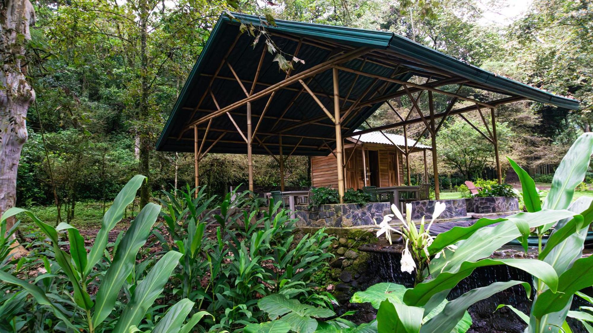 Boscana Forest Resort & Residence Coscomatepec de Bravo Luaran gambar
